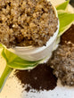 Anti Cellulite Whipped Coffee Sugar Scrub